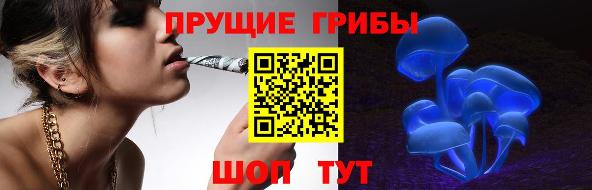 Псилоцибиновые грибы Psilocybine cubensis  Вход с VPN  Чернушка 